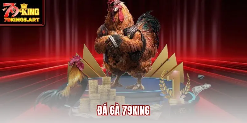 Đá Gà 79KING- Đỉnh Cao Giải Trí Cùng Kê Chiến Cực Chiến
