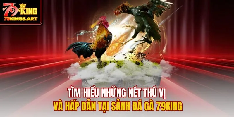 Đá Gà 79KING- Đỉnh Cao Giải Trí Cùng Kê Chiến Cực Chiến