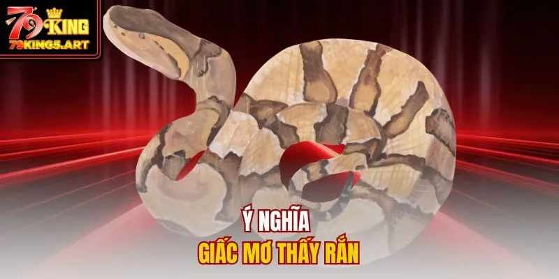Mơ Thấy Rắn Đánh Con Gì? Ý Nghĩa Và Con Số May Mắn Nhất